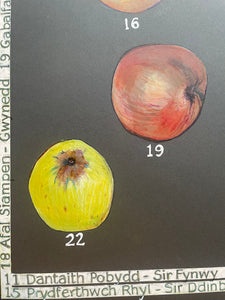 Afalau Cymru