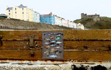 Load image into Gallery viewer, Pysgod y Mor - Sea fish