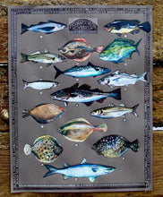 Load image into Gallery viewer, Pysgod y Mor - Sea fish