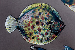 Pysgod y Mor - Sea fish