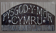 Load image into Gallery viewer, Pysgod y Mor - Sea fish