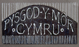 Pysgod y Mor - Sea fish