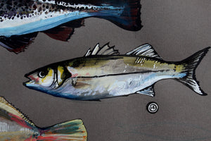 Pysgod y Mor - Sea fish