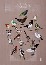 Load image into Gallery viewer, Garden Birds - Adar yr Ardd