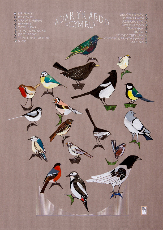 Garden Birds - Adar yr Ardd