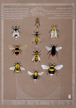 Load image into Gallery viewer, Gwenyn -Bees