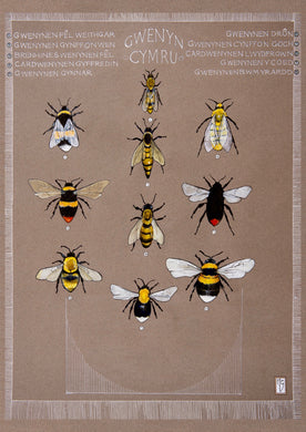 Gwenyn -Bees