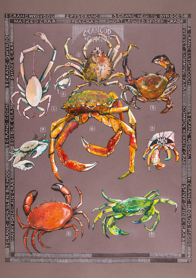Crancod - Crabs