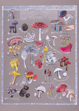 Load image into Gallery viewer, Madarch a Ffwng - Mushrooms and Fungi