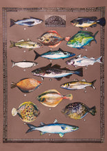 Load image into Gallery viewer, Pysgod y Mor - Sea fish