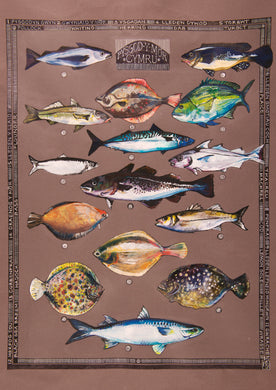 Pysgod y Mor - Sea fish