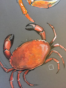 Crancod - Crabs