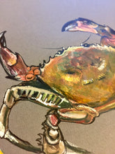 Load image into Gallery viewer, Crancod - Crabs