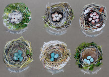 Load image into Gallery viewer, Nythod- Nests