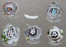Load image into Gallery viewer, Nythod- Nests