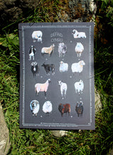 Load image into Gallery viewer, Defaid-Sheep