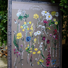 Load image into Gallery viewer, PRINTS- set of 3 -Series Wales - FFION GWYN...Autumn / Wild flowers / Mushrooms