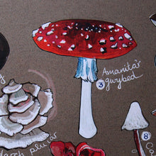Load image into Gallery viewer, PRINTS- set of 3 -Series Wales - FFION GWYN...Autumn / Wild flowers / Mushrooms