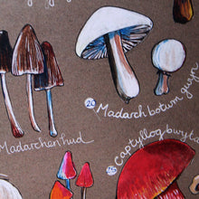 Load image into Gallery viewer, PRINTS- set of 3 -Series Wales - FFION GWYN...Autumn / Wild flowers / Mushrooms