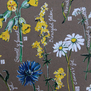 PRINTS- set of 3 -Series Wales - FFION GWYN...Autumn / Wild flowers / Mushrooms