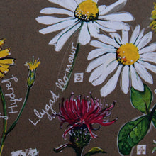 Load image into Gallery viewer, PRINTS- set of 3 -Series Wales - FFION GWYN...Autumn / Wild flowers / Mushrooms