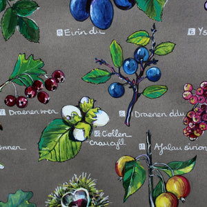 PRINTS- set of 3 -Series Wales - FFION GWYN...Autumn / Wild flowers / Mushrooms