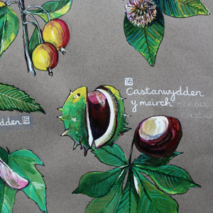 PRINTS- set of 3 -Series Wales - FFION GWYN...Autumn / Wild flowers / Mushrooms