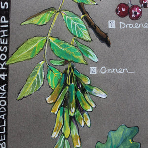 PRINTS- set of 3 -Series Wales - FFION GWYN...Autumn / Wild flowers / Mushrooms