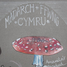 Load image into Gallery viewer, Madarch a Ffwng - Mushrooms and Fungi
