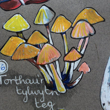 Load image into Gallery viewer, PRINTS- set of 3 -Series Wales - FFION GWYN...Autumn / Wild flowers / Mushrooms