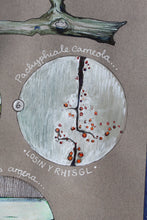 Load image into Gallery viewer, Cennau - Lichens