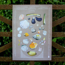 Load image into Gallery viewer, Cregyn - Shells