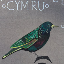 Load image into Gallery viewer, Garden Birds - Adar yr Ardd