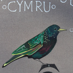 Garden Birds - Adar yr Ardd