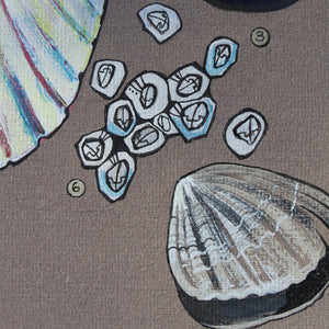 Cregyn - Shells