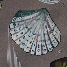 Load image into Gallery viewer, Cregyn - Shells