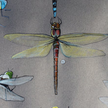 Load image into Gallery viewer, Gweision Neidr - Dragonflies