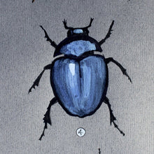Load image into Gallery viewer, Chwilod - Beetles