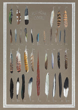 Load image into Gallery viewer, Plu-Feathers